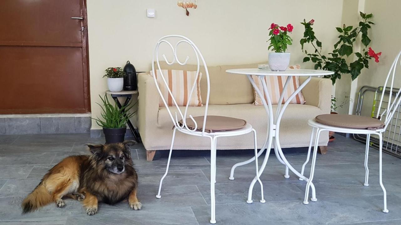 Fyllou Apartment Asprovalta Dış mekan fotoğraf